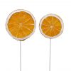 Apelsinskivor på pinne dekoration