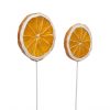 Apelsinskivor på pinne dekoration