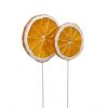 Apelsinskivor på pinne dekoration