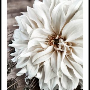 Big white flower poster årstidens bästa