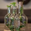 glasflaska 150 ml klar