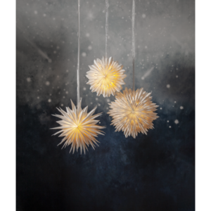 Julstjärna adventssjärna cloud vit papper