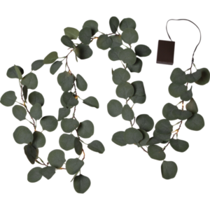 Ljusslinga eucalyptus