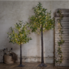 Dekorationsträd olivträd med led belysning för utomhusbruk