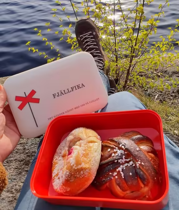 Matlåda fjällfika med ledkryss från stikkan design