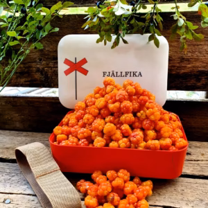 Matlåda fjällfika med ledkryss i bambu