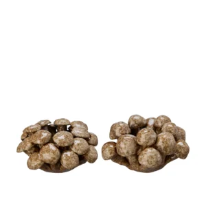 Ljuslykta svampar beige brun porslin