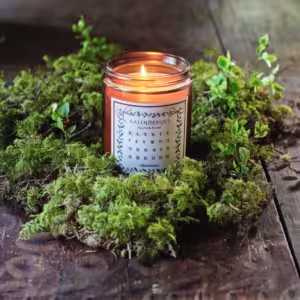 Doftljus kalenderljus äpple kanel jul