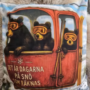 Kuddfodral skidbjörnar med text