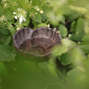Fågelbad på pinne i järn / vallmokopp