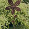 Vindsnurra rostig blomma rosenskära