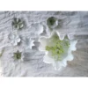 Vitt fat porslin dekoration blomma