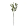 Konstväxt eucalyptus kvist dekoration