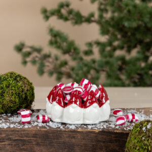 ´Tomte skål jul ljuslykta