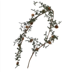 Girlang larix lärk kvistar och kottar