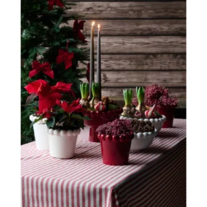 Julkruka röd gammaldags